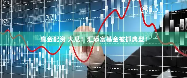 赢金配资 大瓜！汇添富基金被抓典型！